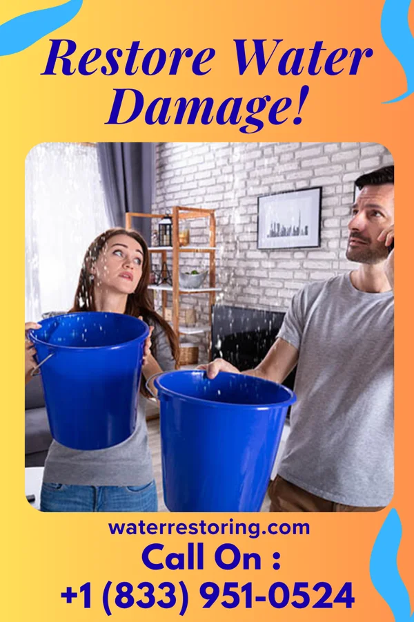 water restoration Elite Flood Cleanup Professionals Livingston