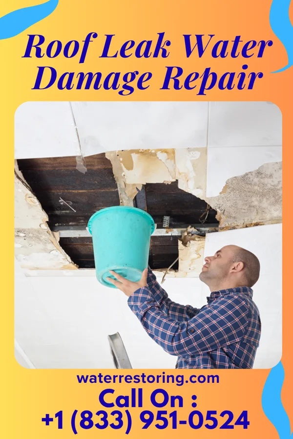 Roof Leak Water Damage Repair in Livingston, WI